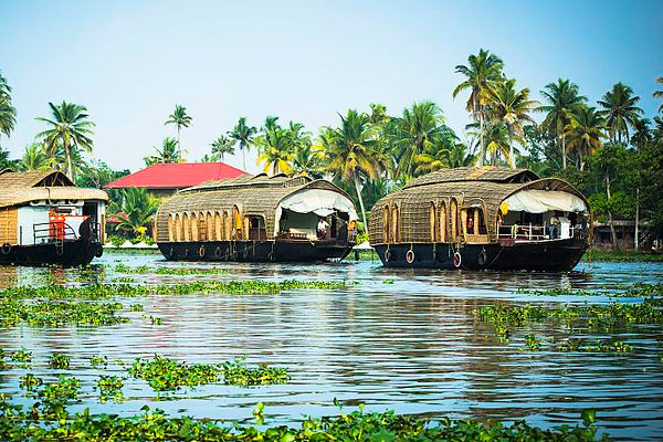 Cruise the Kerala Backwaters